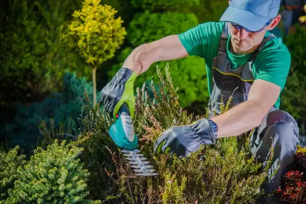 landscaping services Natalbany